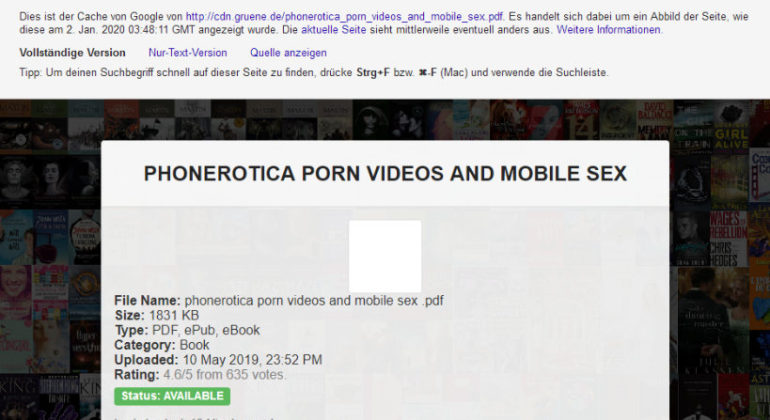 gruene-de-server-hacked